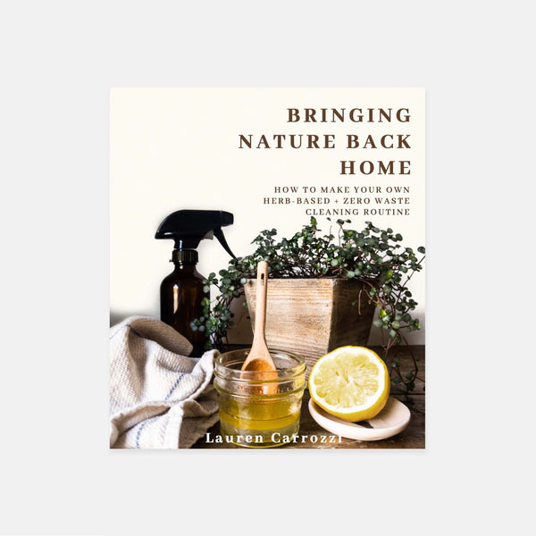 "A Zero Waste Guide to Housecleaning E-Book"