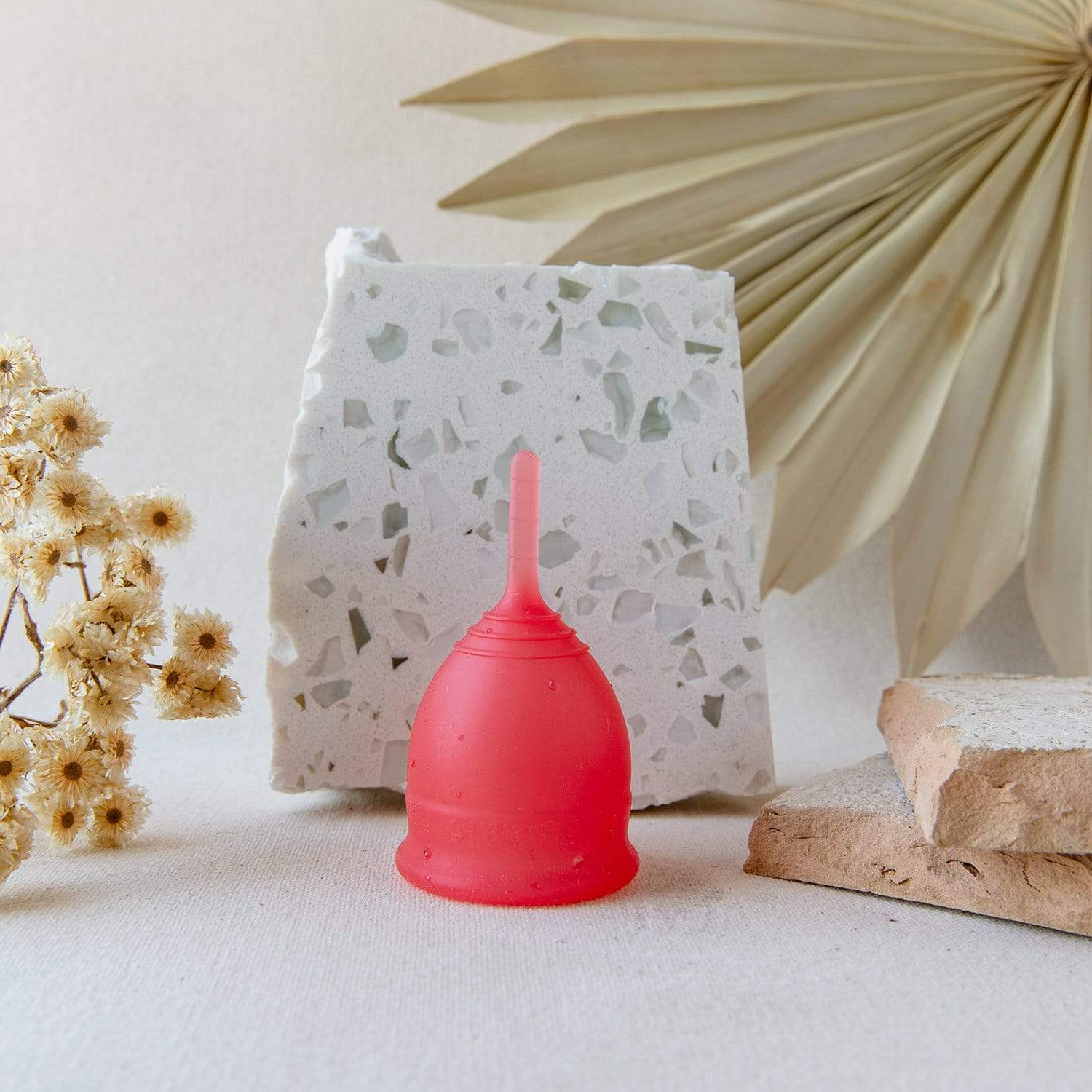 saalt-saalt-menstrual-cup-32036049354863__PID:61f4f454-3d22-46a0-b406-700f2c409240