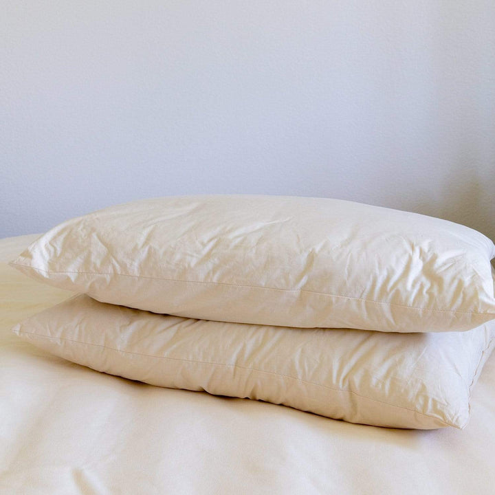 Organic Wool Pillow