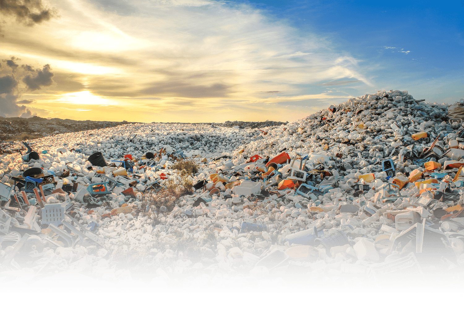 AdobeStock_123780524_cropped_Gradient.png__PID:810127fc-e3d9-4841-84d9-d5b37547f0f1